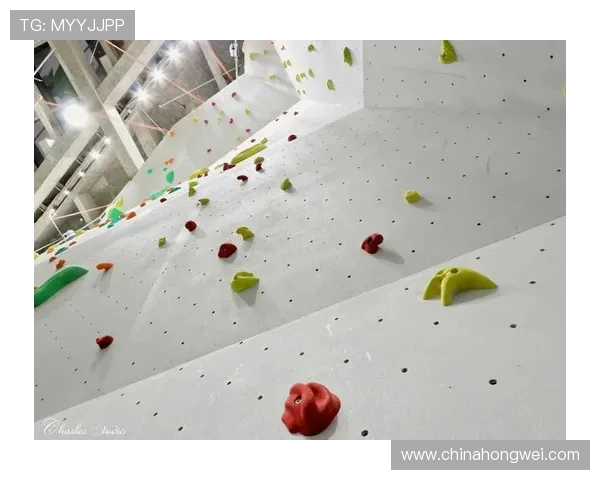 世界攀岩锦标赛线路设计的审美与难度